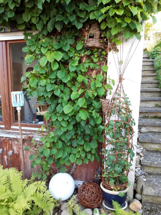 Ferienwohnung Rosa Muller Wangen im Allgäu Exteriör bild